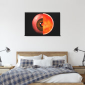 Begripelijk Afbeelding van het menselijke oog, doo Canvas Afdruk (Insitu (Slaapkamer))