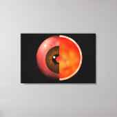 Begripelijk Afbeelding van het menselijke oog, doo Canvas Afdruk (Voorkant)