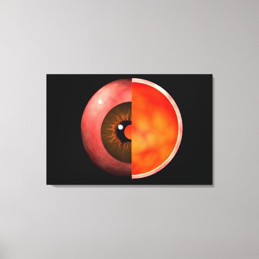 Begripelijk Afbeelding van het menselijke oog, doo Canvas Afdruk (Voorkant)