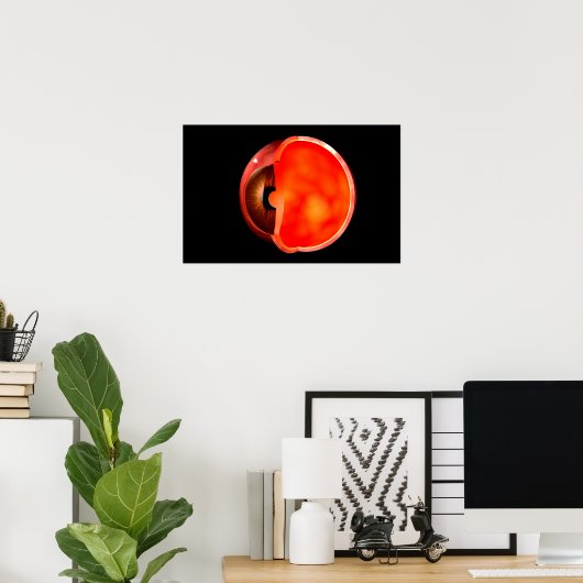 Begripelijk Afbeelding van het menselijke oog, doo Poster (Thuiskantoor)