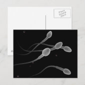 Begripelijk Afbeelding van mannelijke spier Briefkaart (Voorkant / Achterkant)