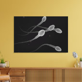 Begripelijk Afbeelding van mannelijke spier Canvas Afdruk (Insitu (Woonkamer))