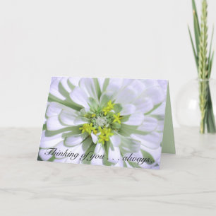 Begroetende kaart-Denkt aan u-Lemony Witte Zinnia Kaart