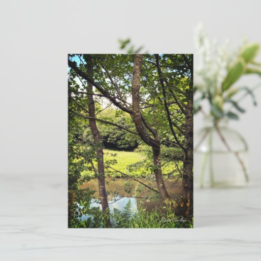 Begroting Bedankt voor uw deelneming en medeleven (Staand voorkant)