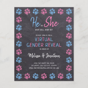 Begroting Blauw Roze Chalkboard Virtueel Geslacht