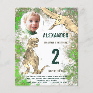 Begroting Dinosaur Birthday Party Flyer