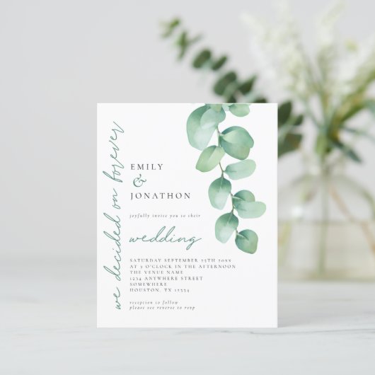 Begroting Eucalyptus beslist over de uitnodiging v (Staand voorkant)