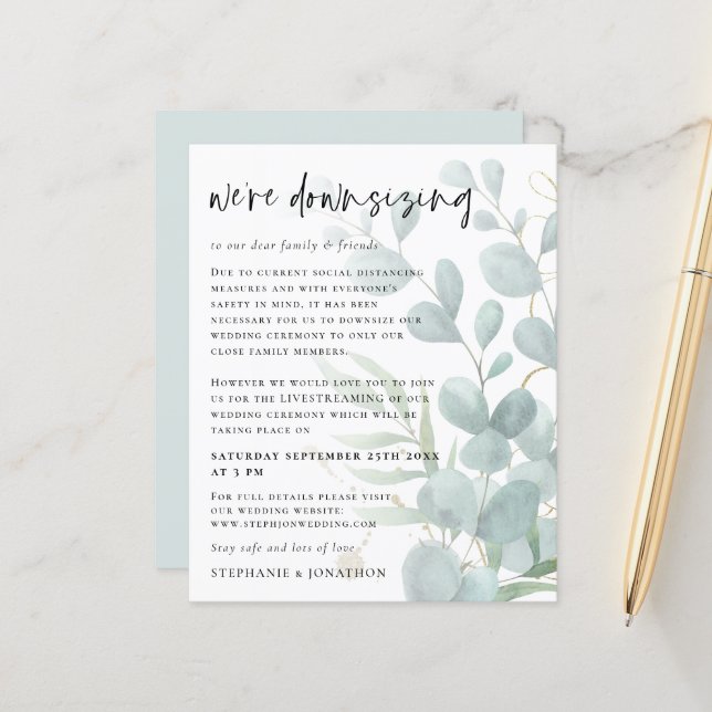 Begroting Eucalyptus downsize Livestream Weddensch (Voorkant / Achterkant in situ)