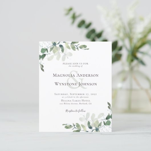 Begroting Eucalyptus in één weddenschap (Staand voorkant)