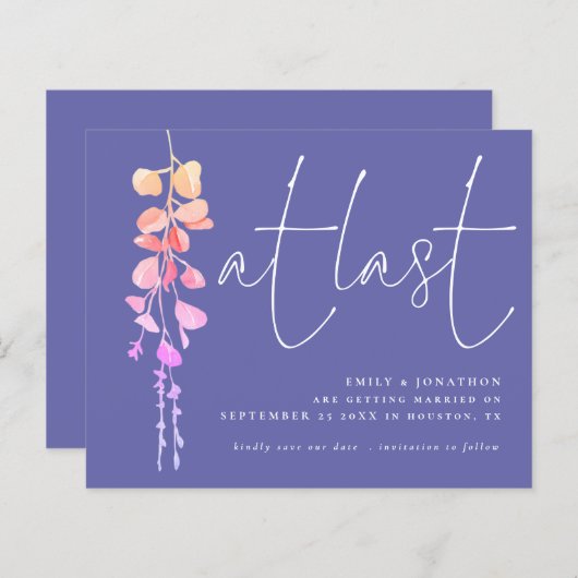 Begroting Eucalyptus Periwinkle eindelijk behalve  (Voorkant / Achterkant)