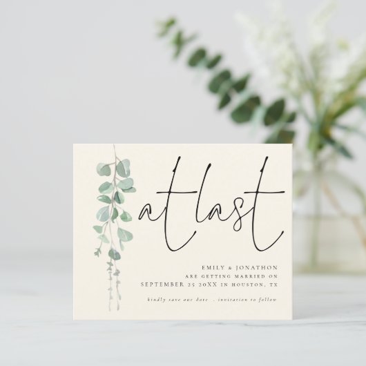 Begroting Eucalyptus Sage Ivory op datum (Staand voorkant)