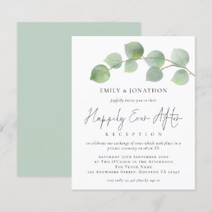 BEGROTING Eucalyptus wordt gelukkig altijd na de b
