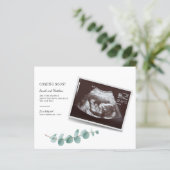 Begroting Eucalyptus Zwangerschap Baby (Staand voorkant)