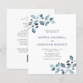 Begroting helemaal in één mosterd Blue Eucalyptus (Voorkant / Achterkant)