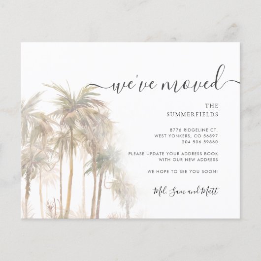 Begroting kustpalmbomen (Voorkant)