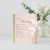 Begroting maar mooie luxe roze Pampas Grass (Staand voorkant)