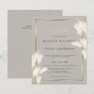 Begroting maar prachtig Elegant Ivory Pampas Grass