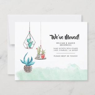 Begroting - nieuw adres Succulents Moving Announan