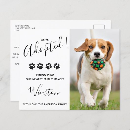 Begroting nieuw pakket We hebben Puppy Dog Announc (Voorkant / Achterkant)