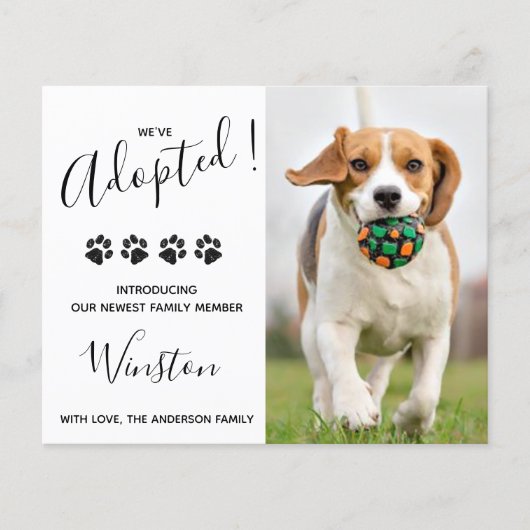 Begroting nieuw pakket We hebben Puppy Dog Announc (Voorkant)