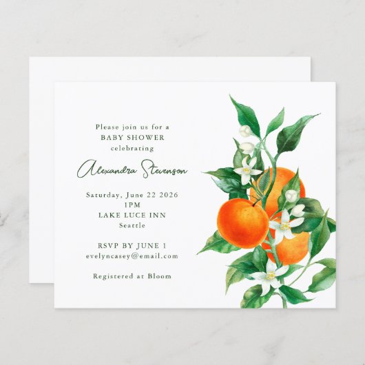 Begroting Oranje uitnodiging tot het indienen van  (Voorkant / Achterkant)