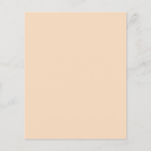 Begroting Oranje uitnodiging tot tweede bezuinigin Flyer (Achterkant)