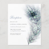 BEGROTING Peacock Fether Weddenschap Reception Enc (Voorkant)