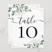 BEGROTINGSBEDRIJFSDUUR Eucalyptustabelnummer (Voorkant / Achterkant)