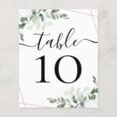 BEGROTINGSBEDRIJFSDUUR Eucalyptustabelnummer (Achterkant)