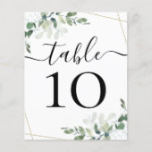 BEGROTINGSBEDRIJFSDUUR Eucalyptustabelnummer (Voorkant)