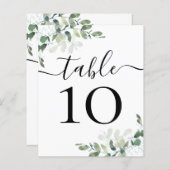 BEGROTINGSBEDRIJFSDUUR Eucalyptustabelnummer (Voorkant / Achterkant)