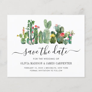 Begrotingscactus Cacti Succulent Floral Save the D
