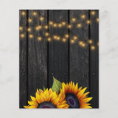 Begrotingsredactionele wijziging van de plannen flyer (Achterkant)