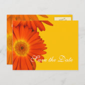 behalve de datum , de duitse dagbloemen aankondigingskaart (Voorkant / Achterkant)