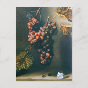 BEHANDELDE GRAPES RUSTISCH VINEYARD, WINERY, VITIC BRIEFKAART