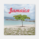 BEHANDELING OP GEDEELTE IN JAMAICA MAGNET MAGNEET (Voorkant)