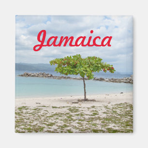 BEHANDELING OP GEDEELTE IN JAMAICA MAGNET MAGNEET