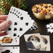 Behandeling van walker Coonhound-schilderijen - Oo Pokerkaarten (Insitu)