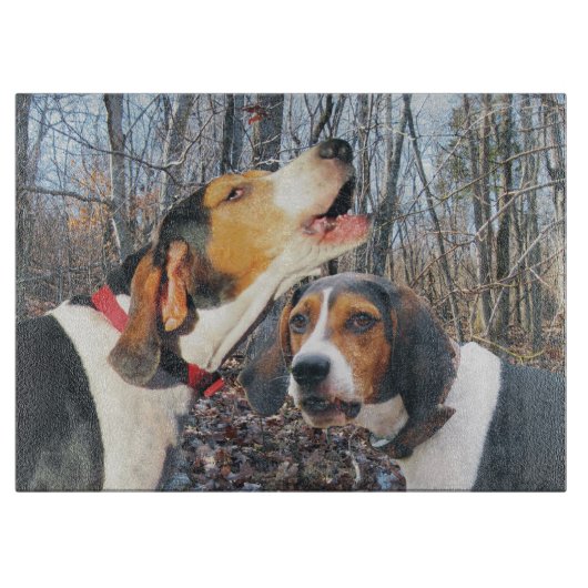 Behandeling van Walker Coonhounds in Wood Cutting  Snijplank (Voorkant)