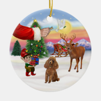 Behandeling voor een abrikozenkleurige Poodle (Toy Keramisch Ornament
