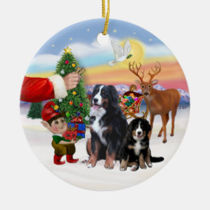 Behandeling voor een Berner Sennenhond & Puppy Keramisch Ornament