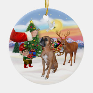 Behandeling voor een Boxer Keramisch Ornament