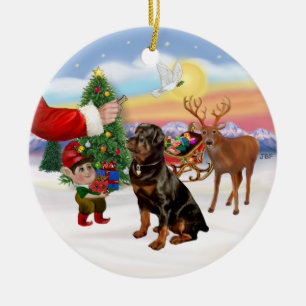 Behandeling voor een Rottweiler Keramisch Ornament