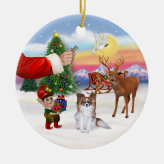 Behandeling voor een Sable Papillon Keramisch Ornament