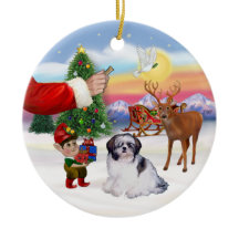 Behandeling voor een Shih Tzu (A)