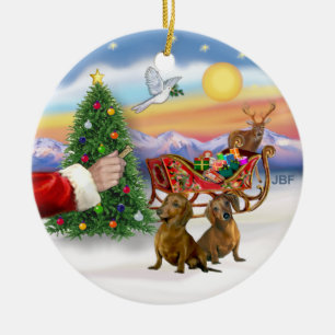 Behandeling voor twee dacharden (rood/bruin) keramisch ornament