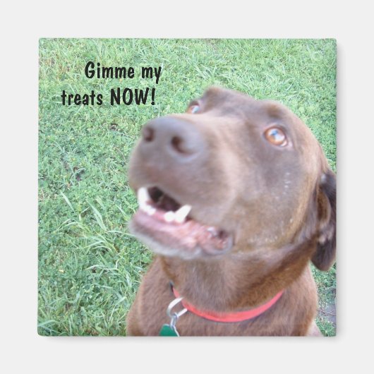 Behandelt NU Magneet (Voorkant)