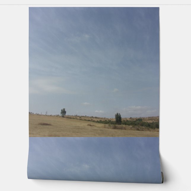 Behang ontwerpstijl (Afrollen)