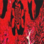 Behang - Zwarte Framboos & Vurige Spiraal (Zoom)