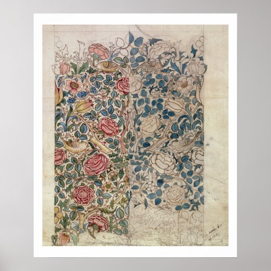 Behangselpapier voor Rozen (potlood en m/c op papi Poster (Voorkant)